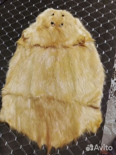 Шкурка животного