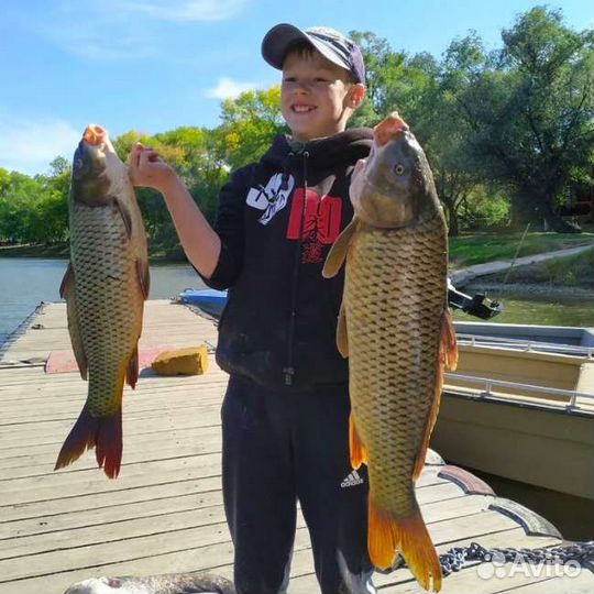 Охота и рыбалка