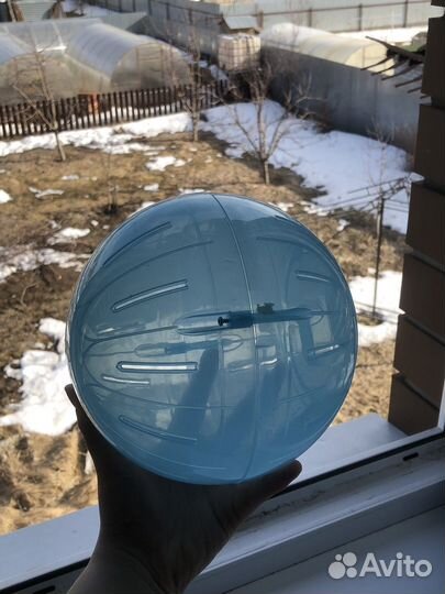 Шар для сирийского хомяка