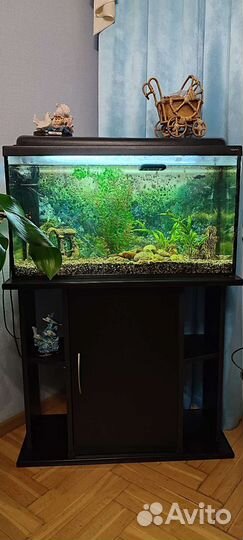 Аквариум