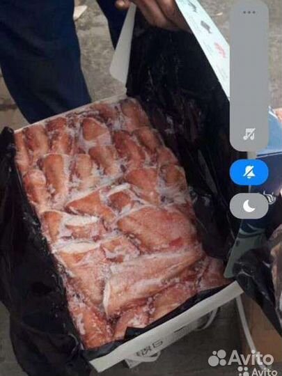 Рыба свежемороженая