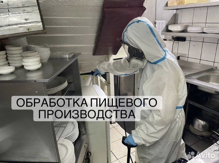 Обработка от клопов,уничтожение тараканов,травля