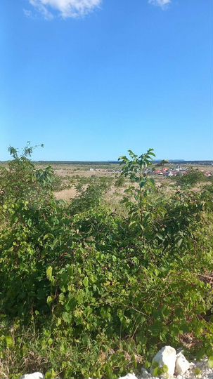 Участок 7,2 сот. (СНТ, ДНП)