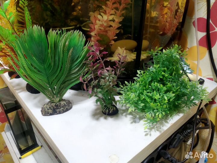 Сифон для аквариума,грунт и растения искусственные