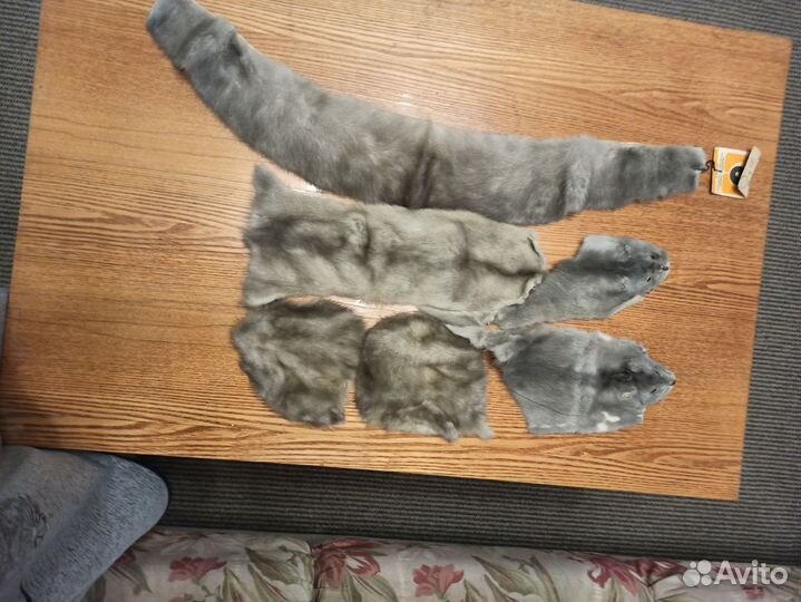 Шкуры лисы и воротник норки и кусочки
