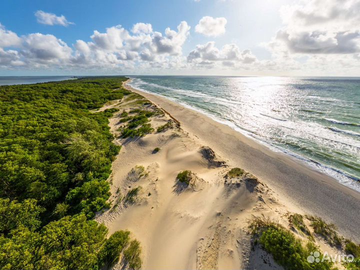 Экскурсия на Куршскую косу и вся область