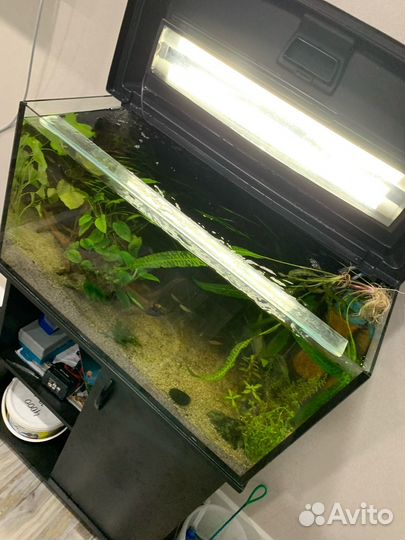Аквариум с тумбой и всем содержимым 100л