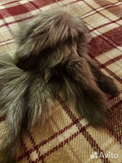 Меховой воротник песец