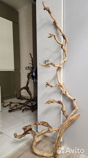 Гамаки/лежанки, лесенки, лампы,поилка,кольца,ветки