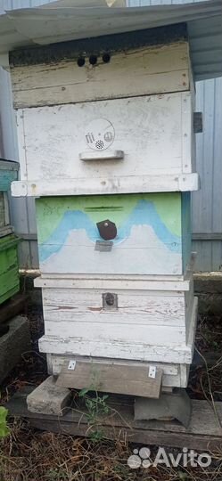 Продам ульи для пчел