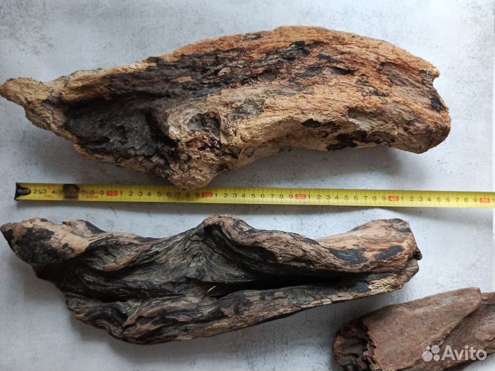 Коряги для интерьера