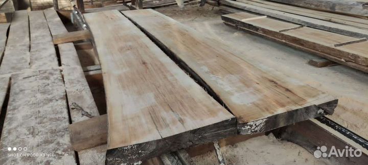 Слэб осиновый