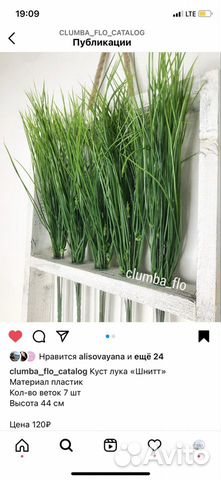 Пырей, осока, лук