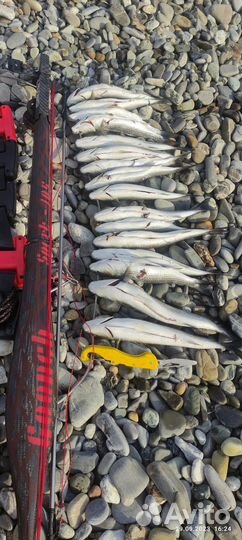 Обучение и сопровождение подводной охоты