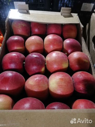 Яблоки, грушовка, грени, айдаред, моди