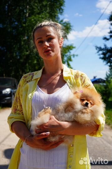 Помераночка