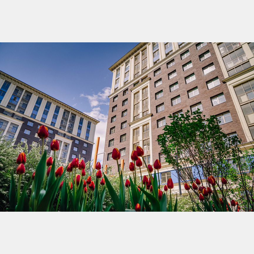 1-к. квартира, 45,5 м², 6/12 эт.