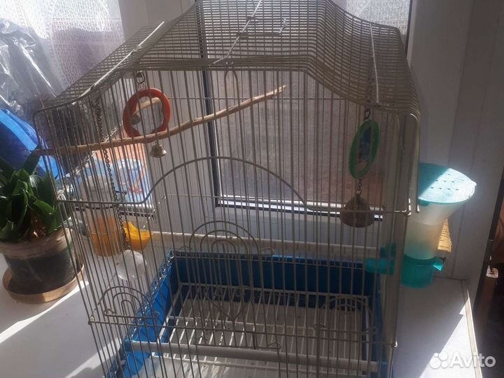 Клетка для попугая