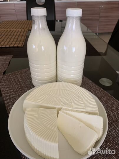 Козье молоко, сыр