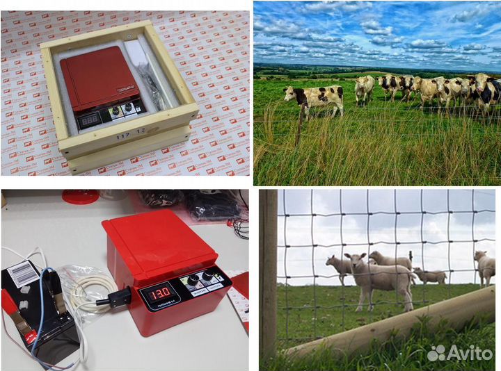 Электропастух