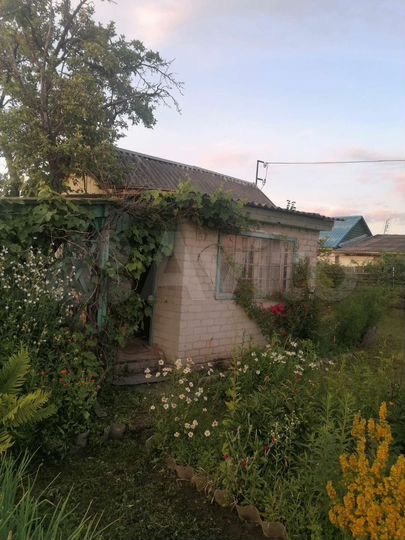 Дача 25 м² на участке 5,5 сот.