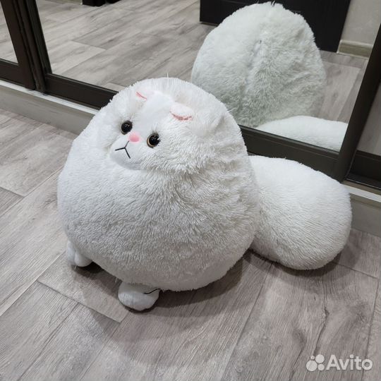 Кот Беляш