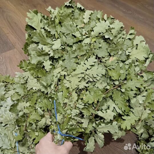 Дубовые веники для бани