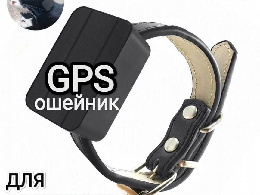 Gps ошейник для кошек и собак