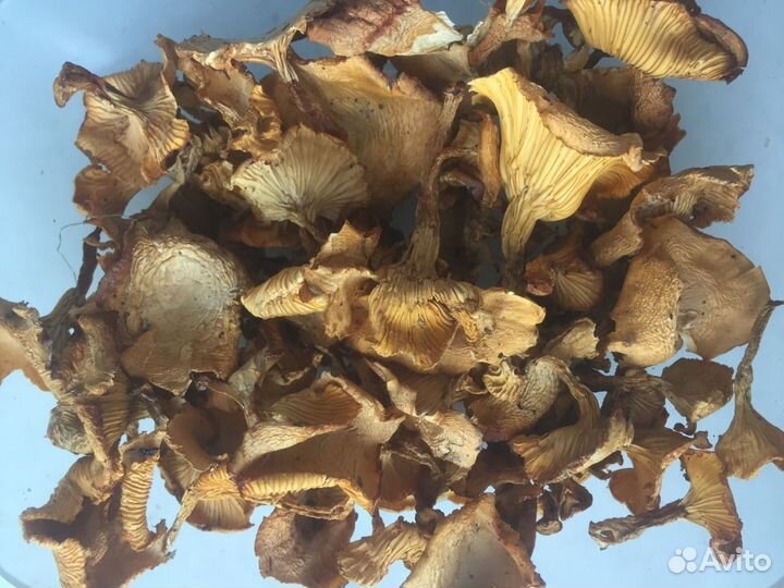 Сушеные лисички в розницу и оптом