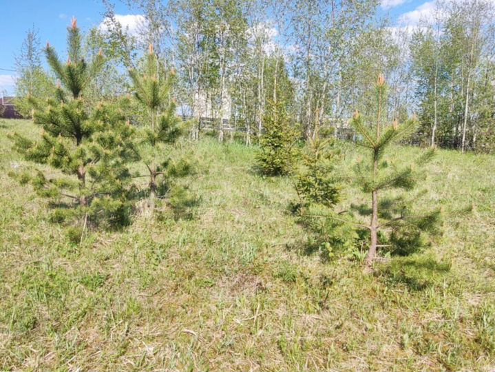 Участок 7 сот. (ИЖС)