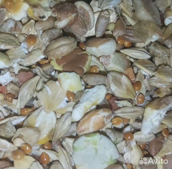 Корм для песчанок 1 кг