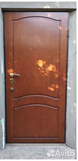 Двери входные в дом, квартиру 071