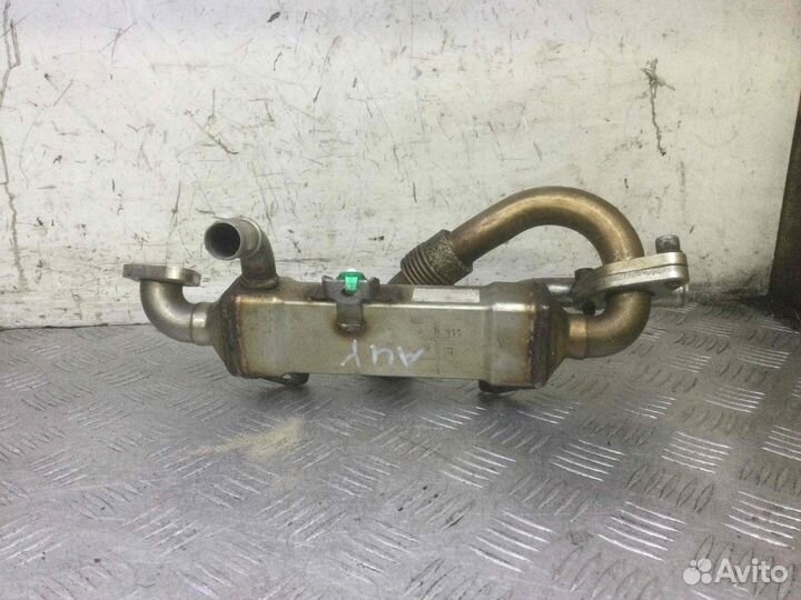 Радиатор EGR Volkswagen Sharan 038131513l Auy