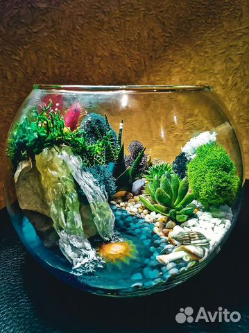 Флорариум шар, подарок