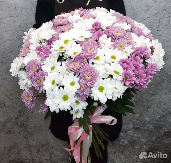 Хризантемы