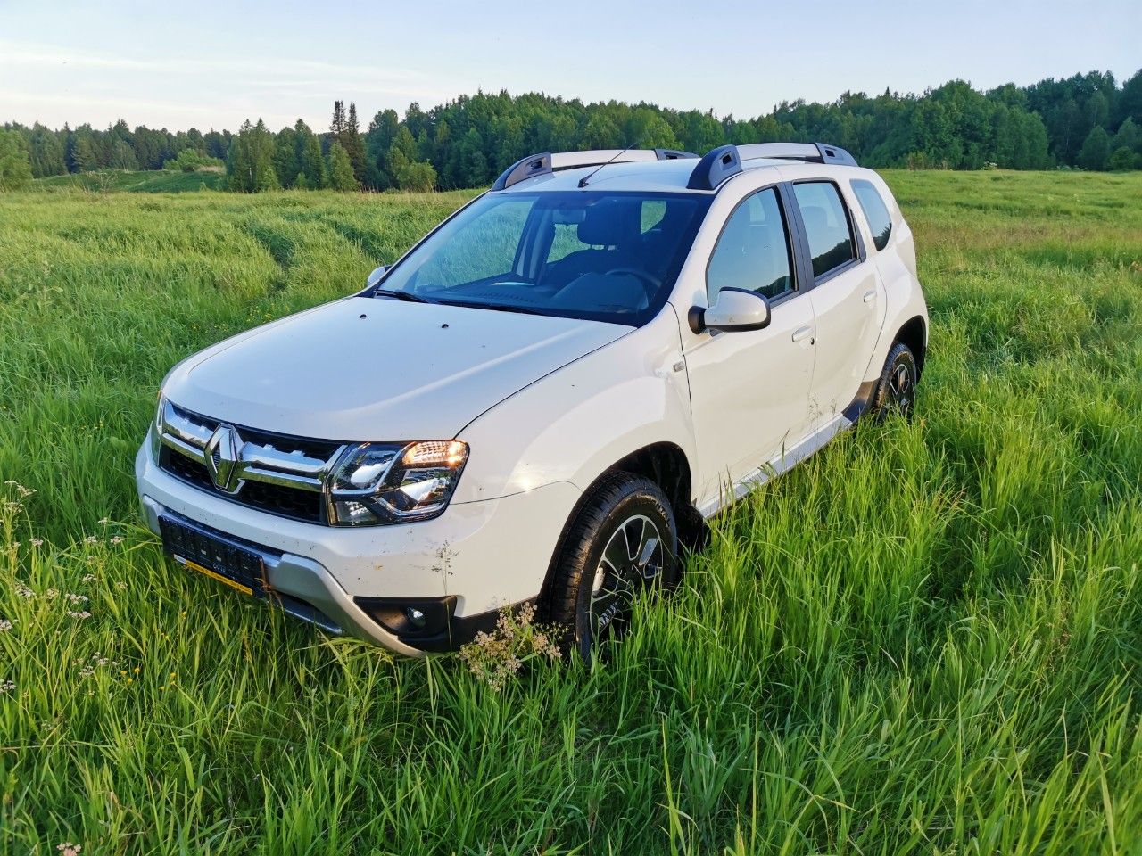 Renault Duster: фото владельца
