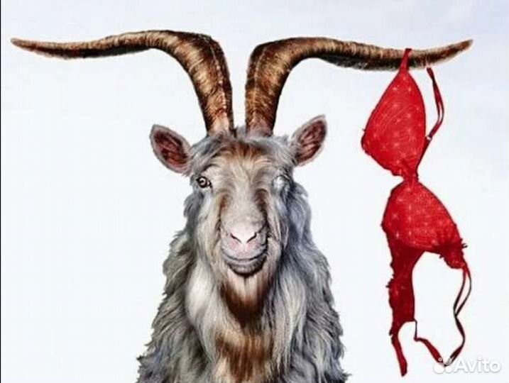 Покрытие козы