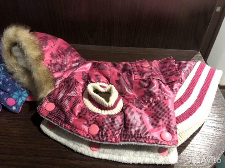 Одежда для собак