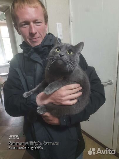 Передержка животных на время отпуска