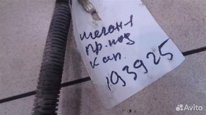 Проводка подкапотная (жгут) Renault Megane 1 1996