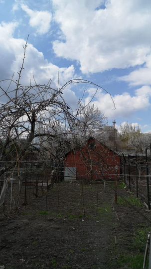 Дом 35 м² на участке 1 сот.