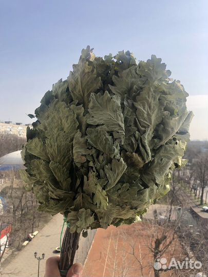Веник дубовый для бани