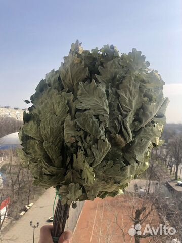 Веник дубовый для бани