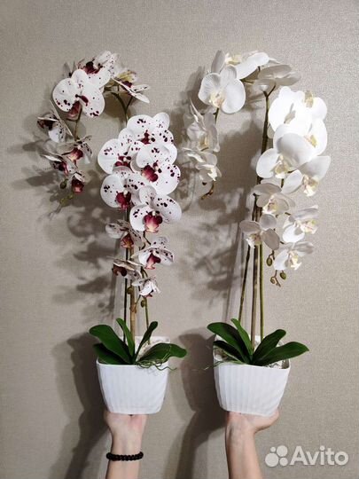 Орхидеи из силикона