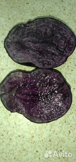 Семенной цветной картофель