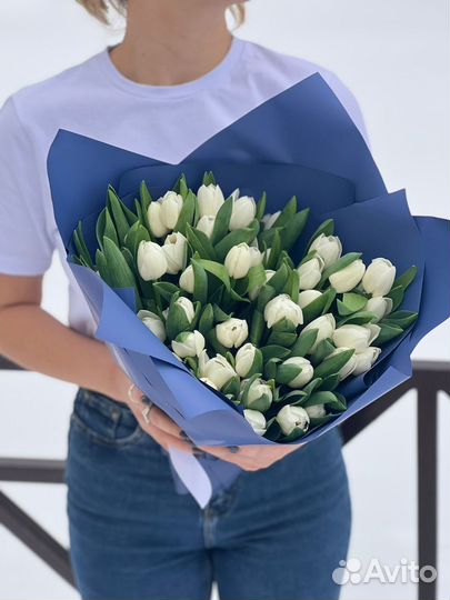 Тюльпаны оптом