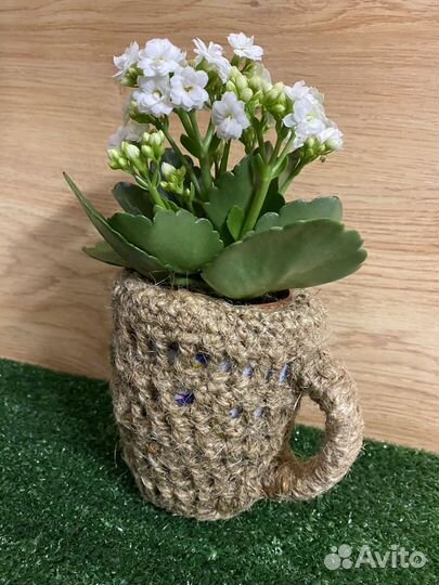 Декоративное кашпо