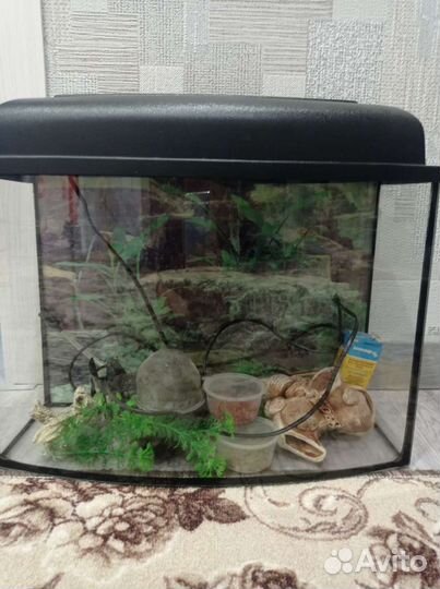 Аквариум