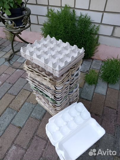 Решетки для яиц