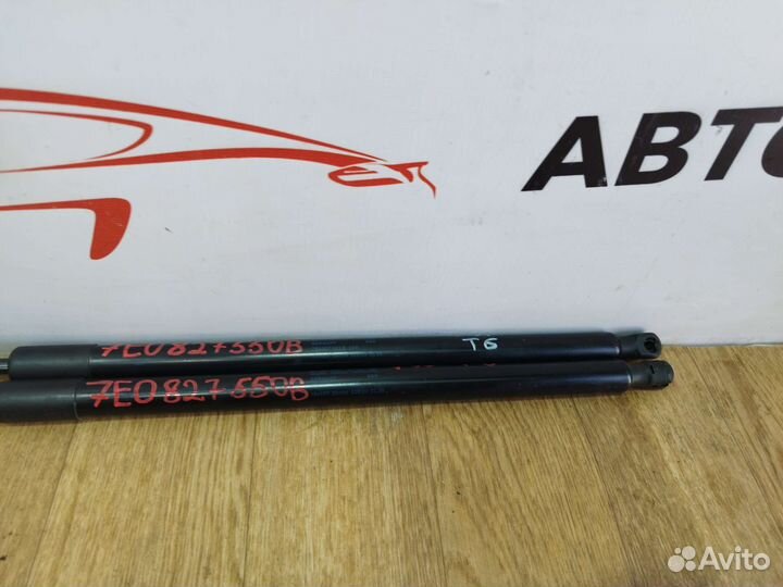 Амортизаторы двери багажника VW Transporter T6